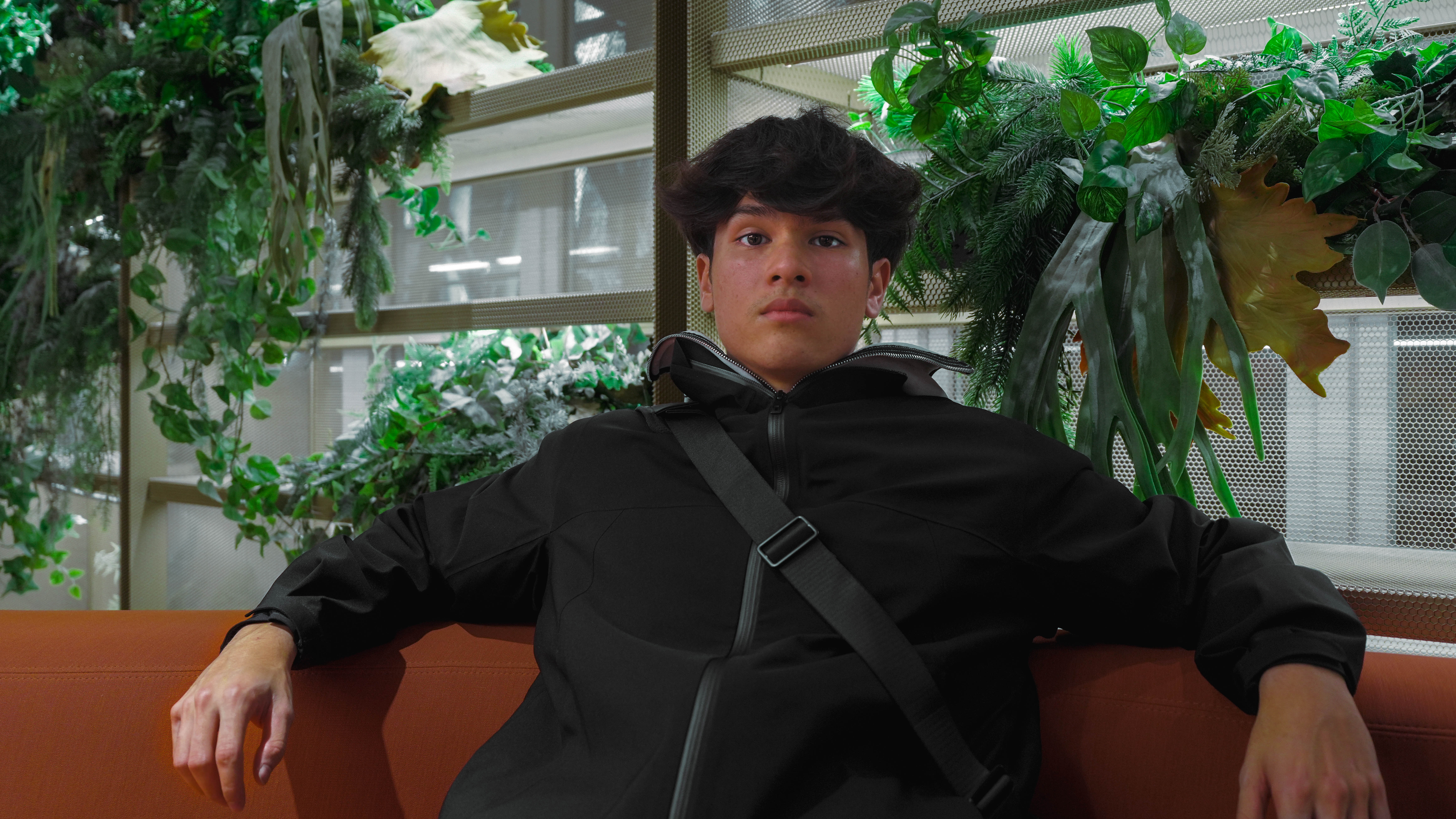 Nol boss plante plié