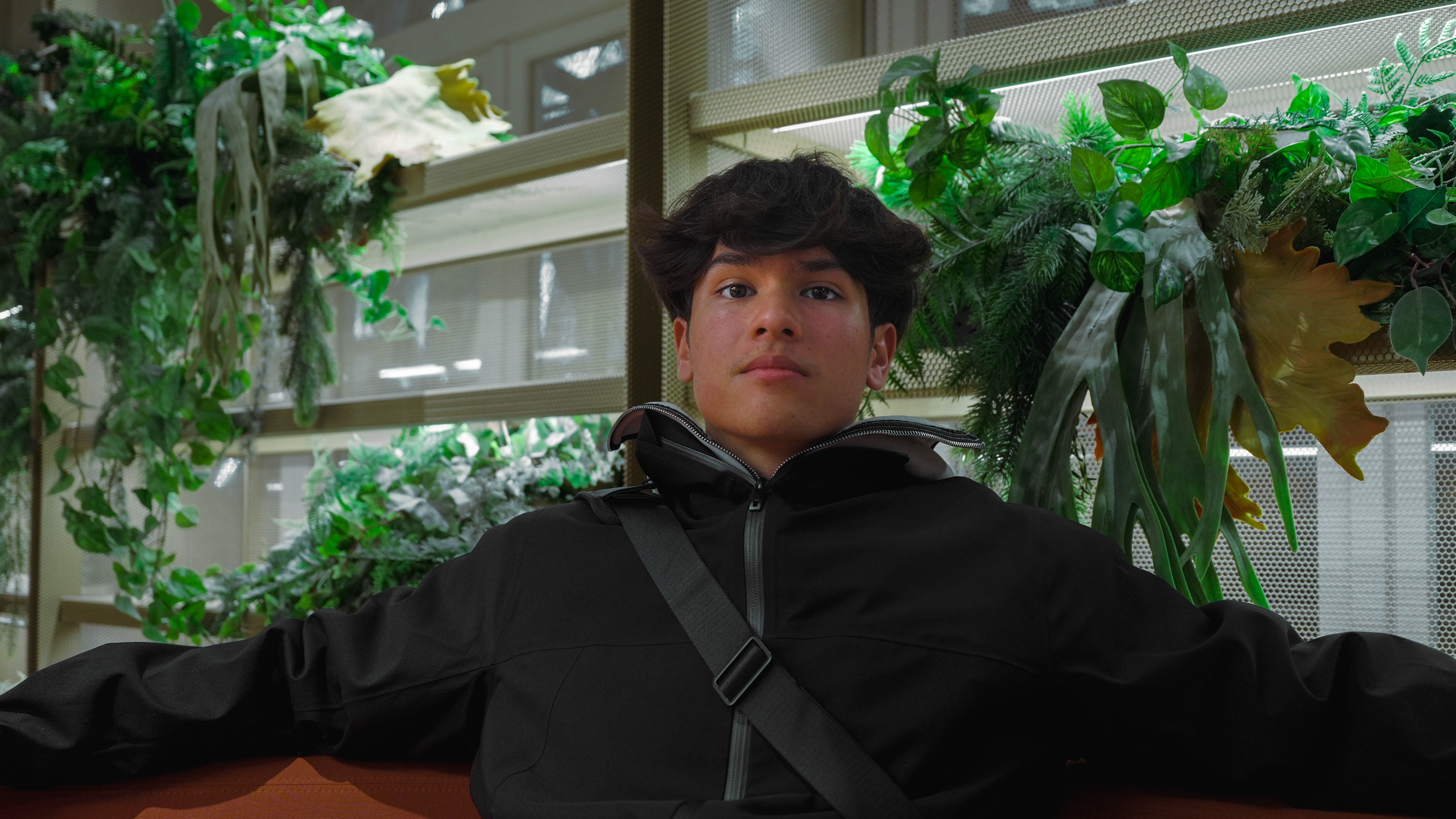 Nol boss plante full