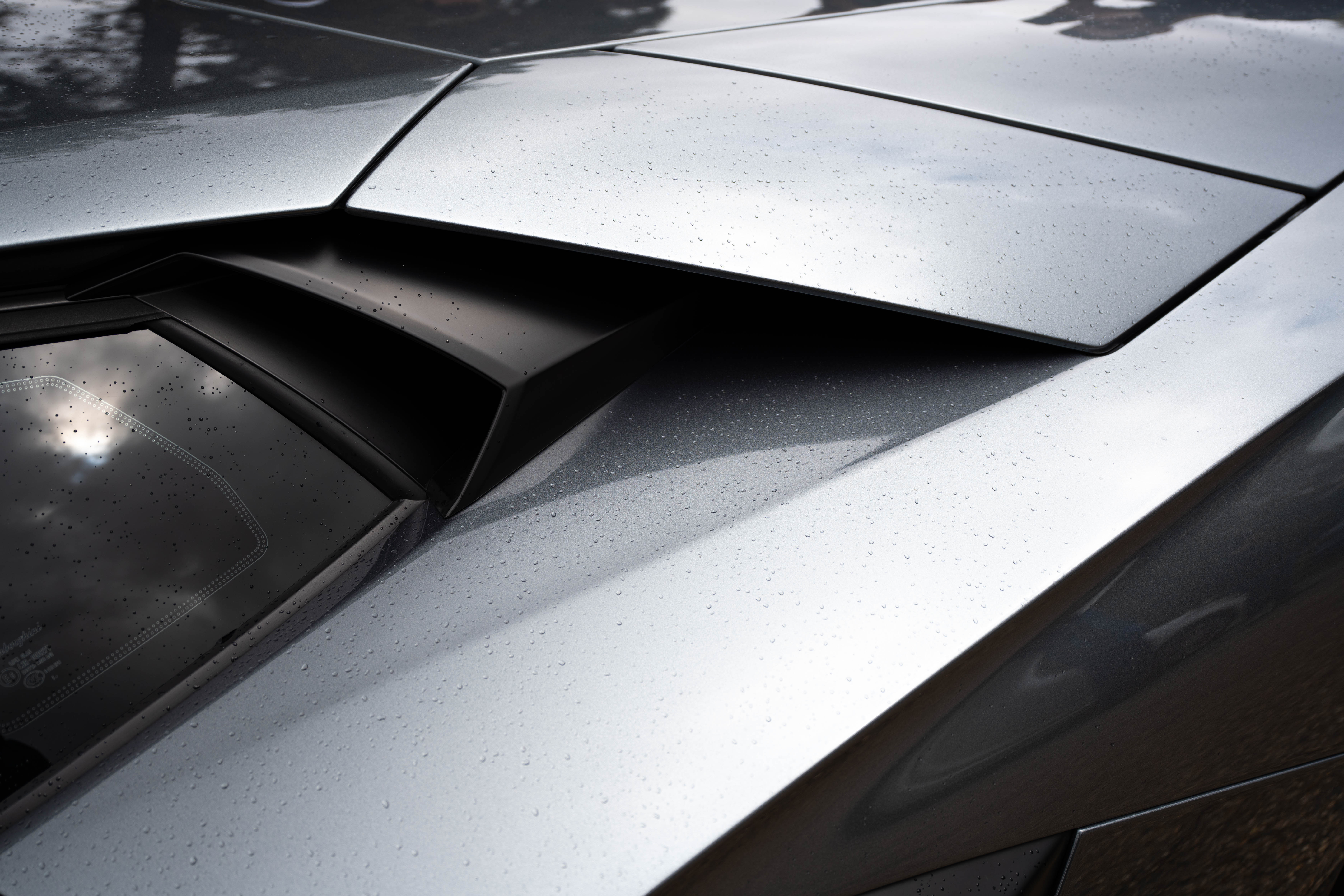 lambo grise