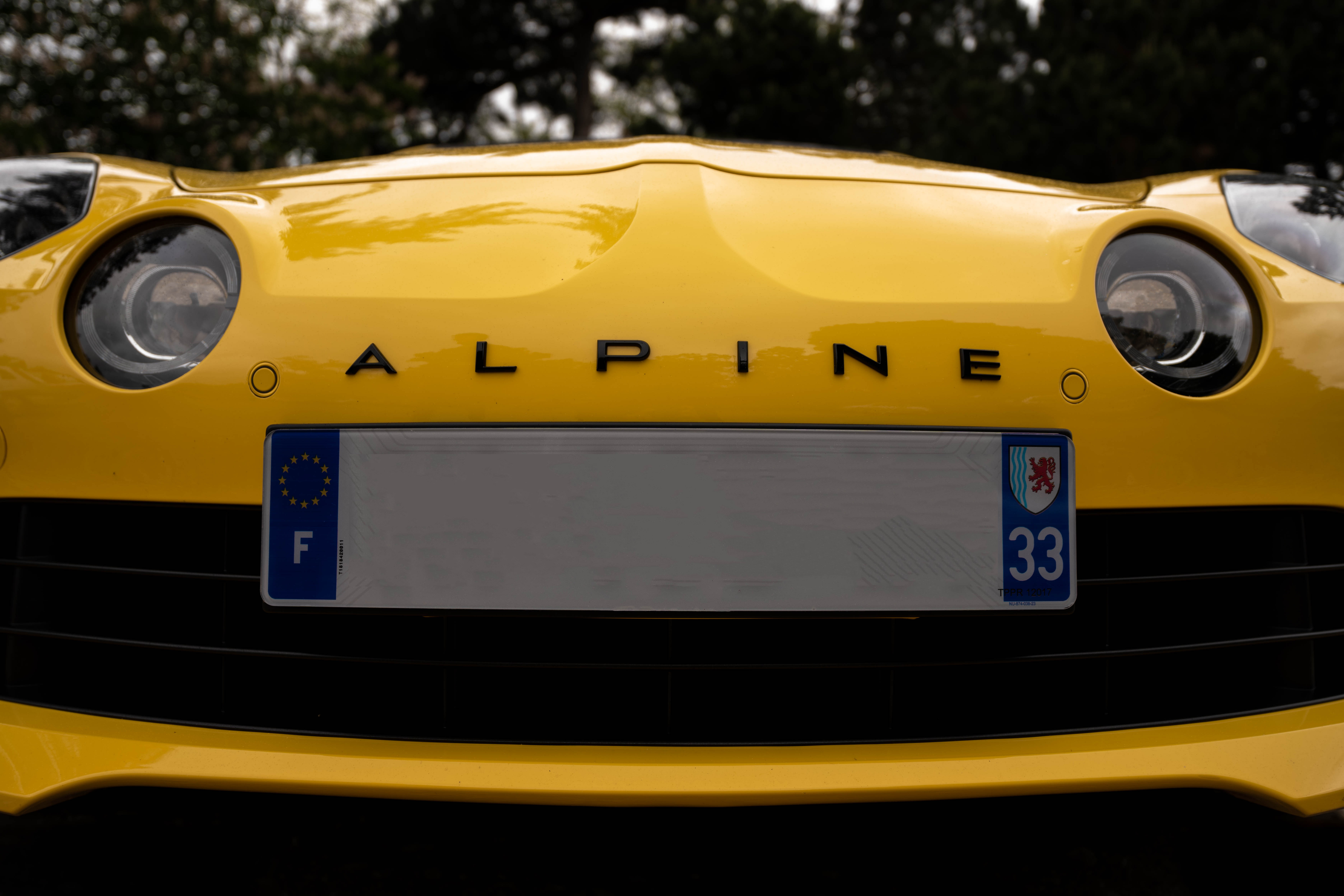 Alpine jaune
