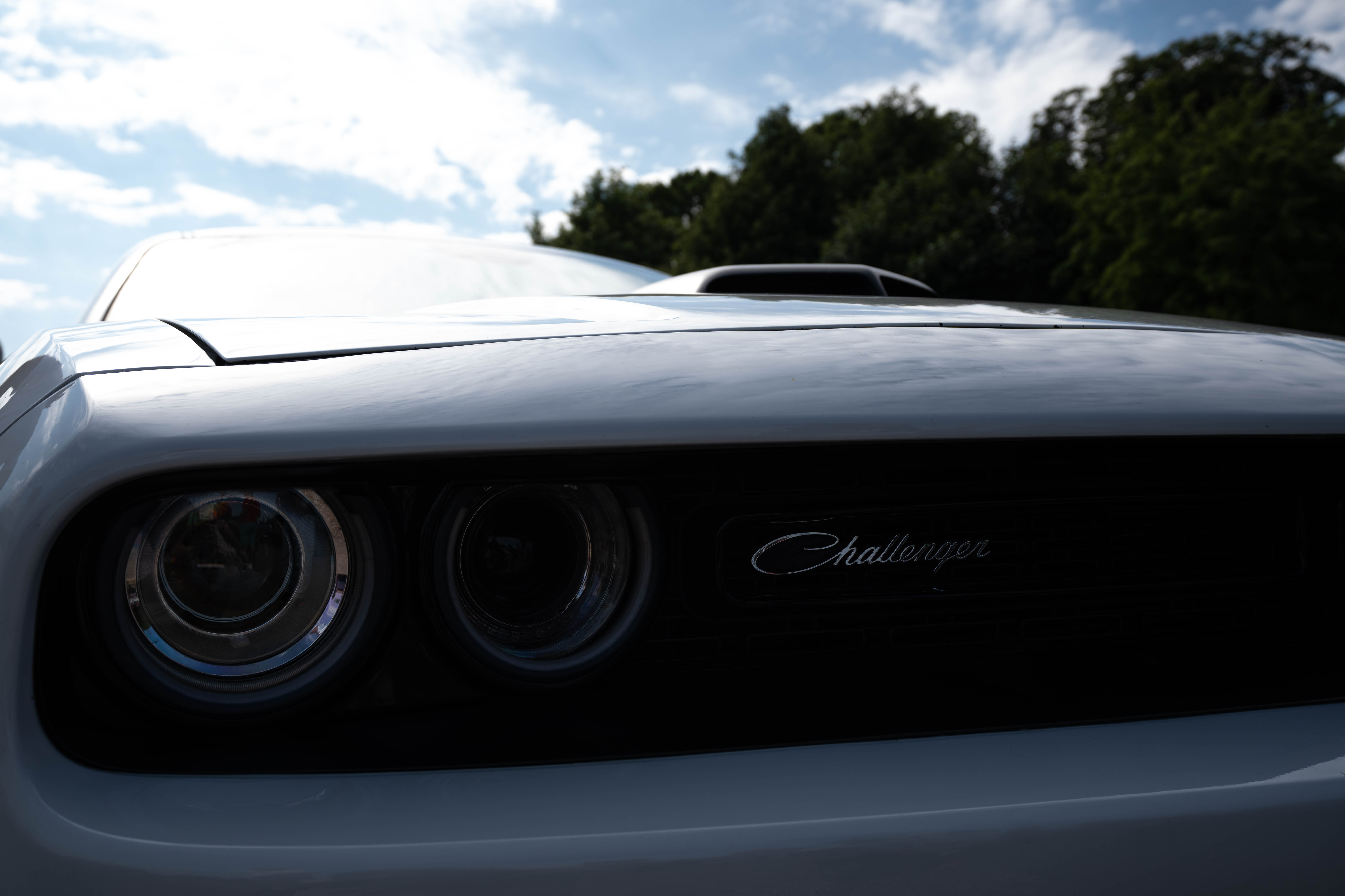 challenger blanche