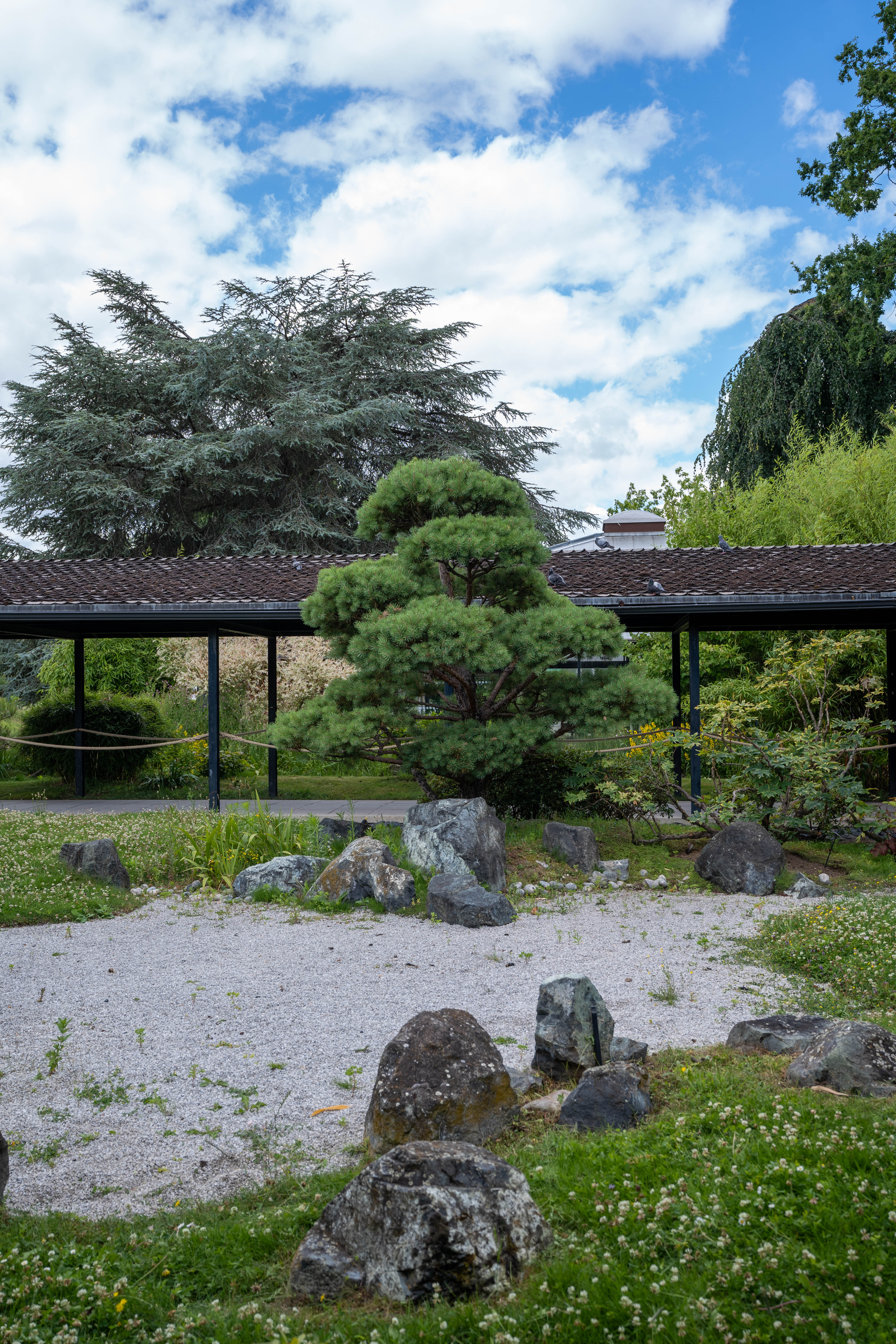 Jardin