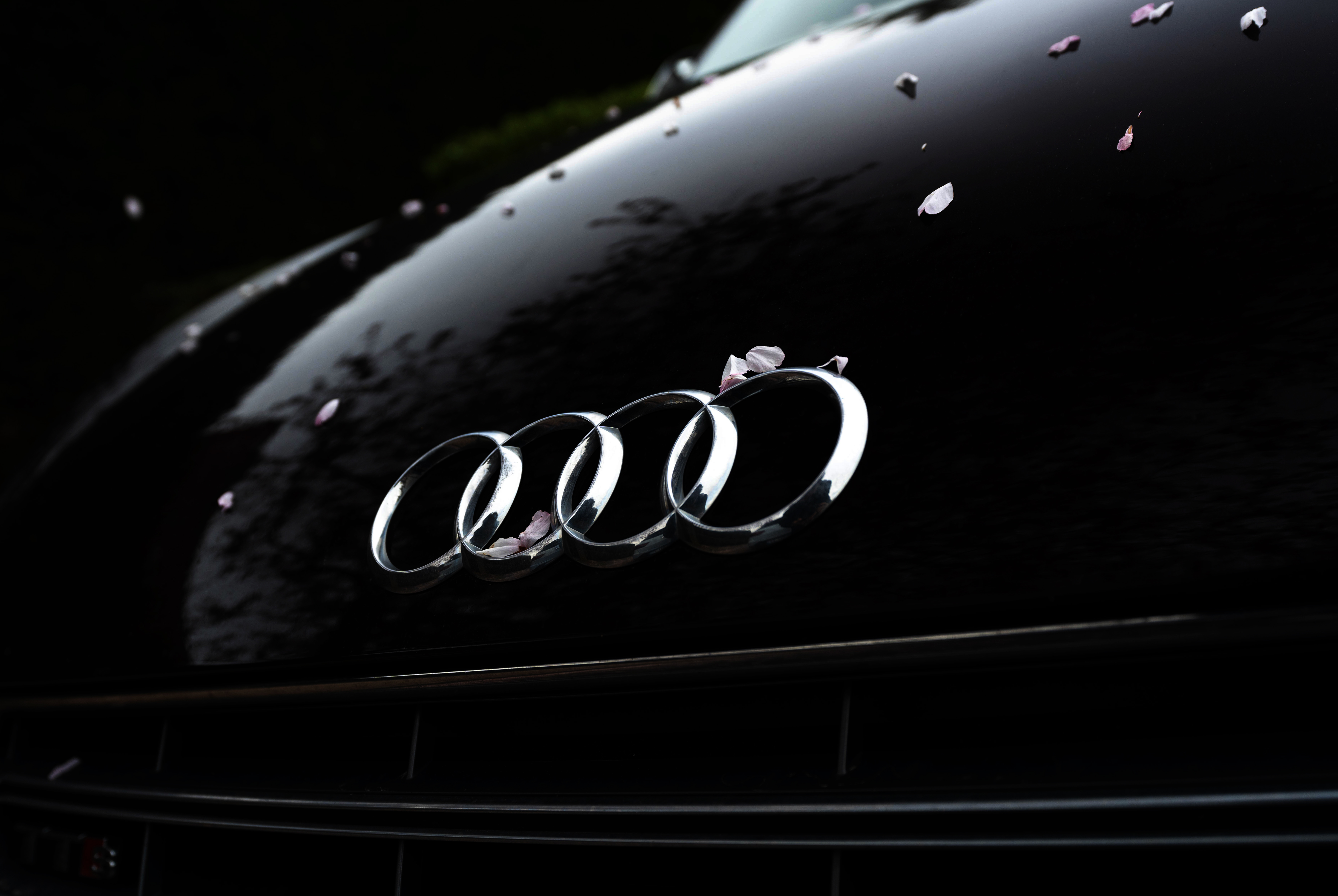 Audilogo
