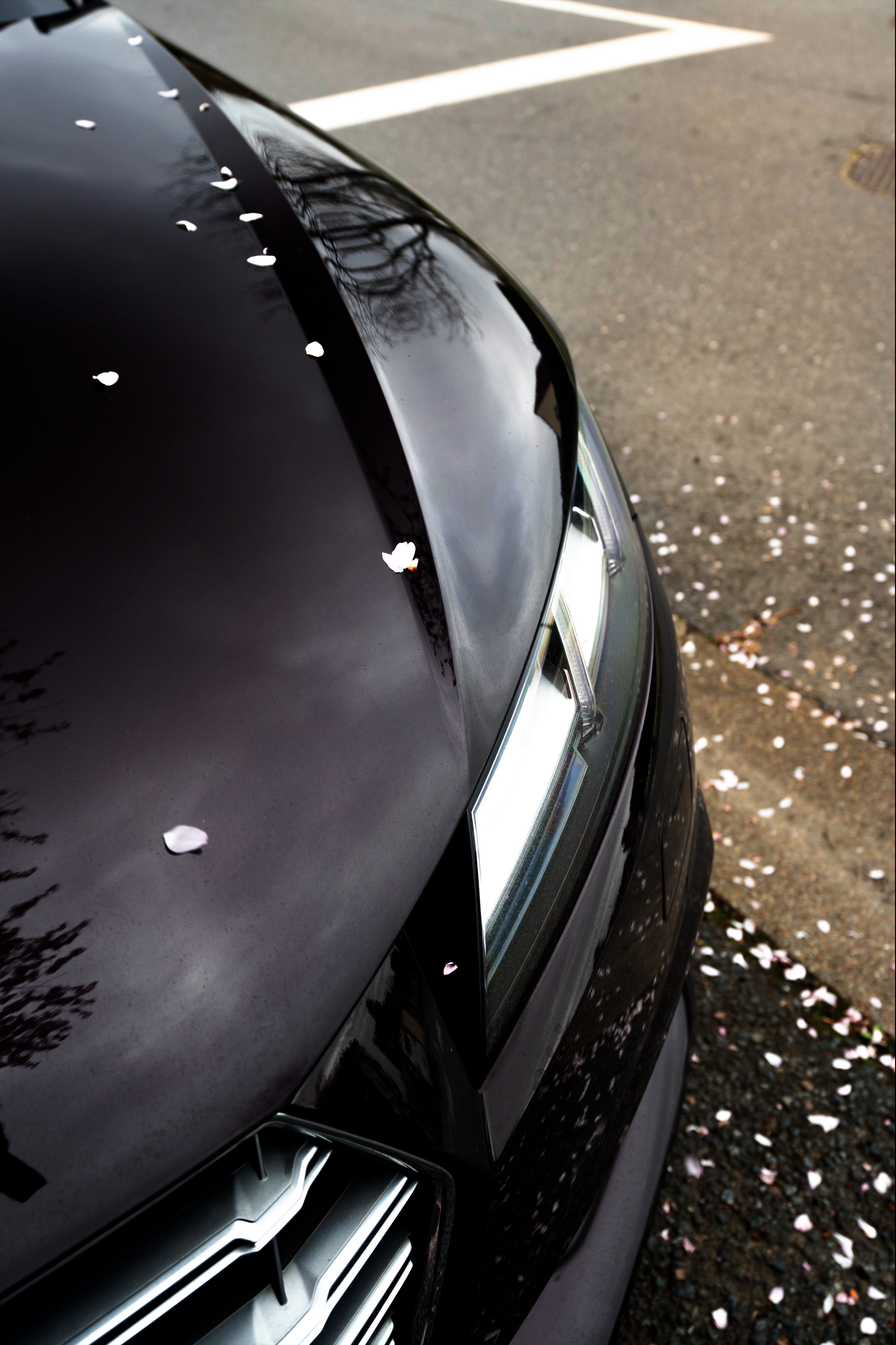 Audivertical