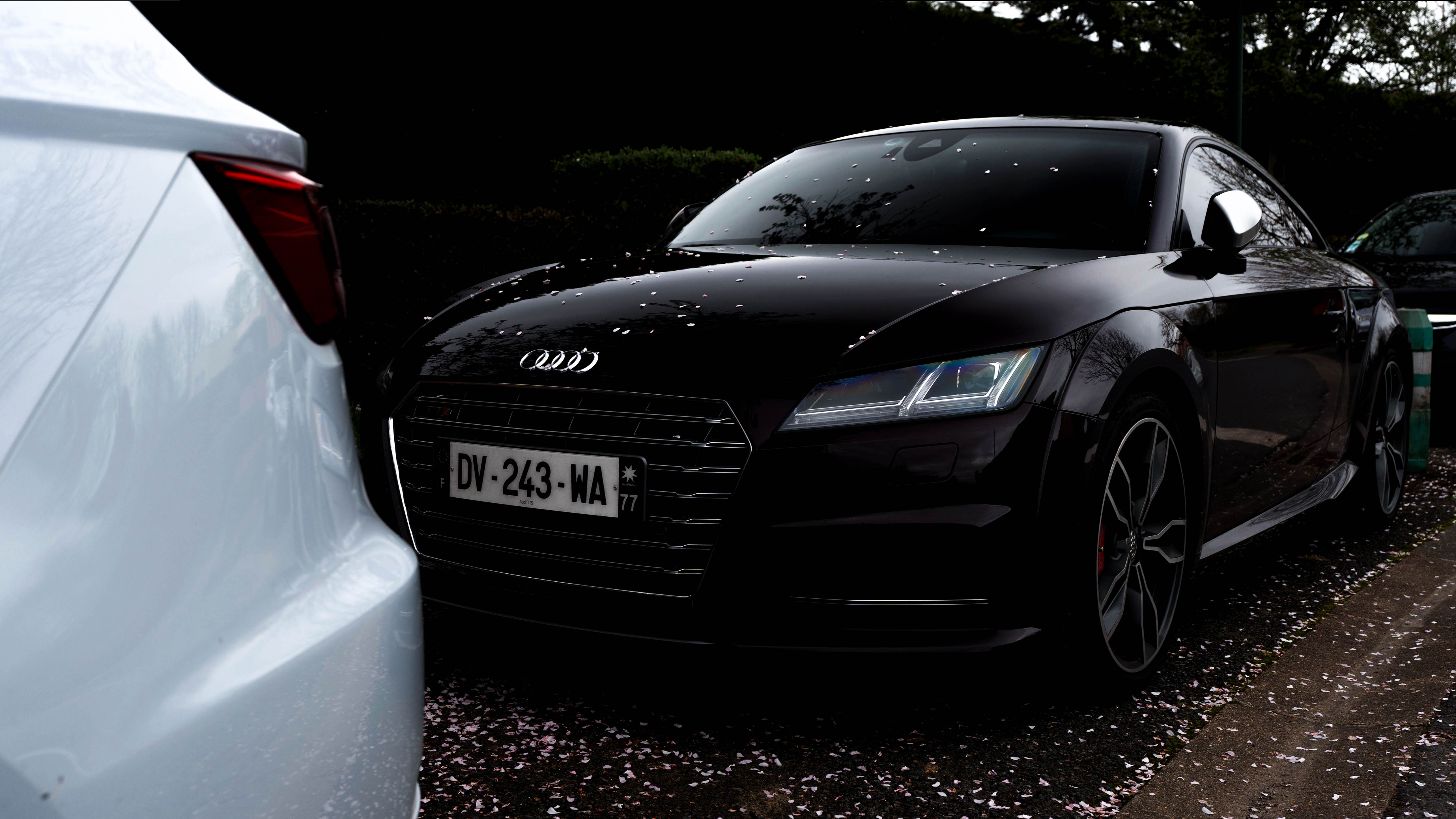 AudiFront