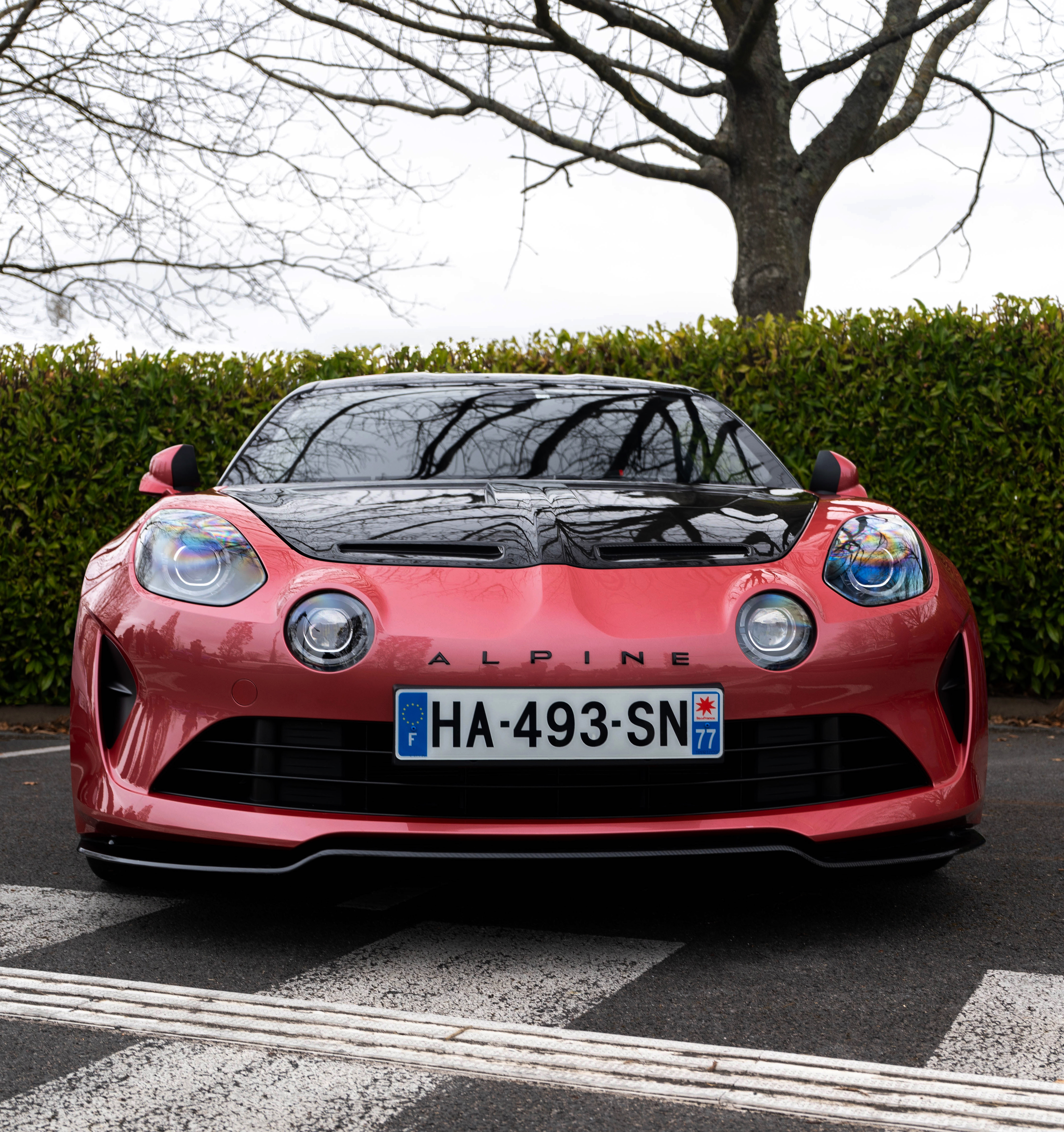 Alpine - Vue frontale en rose